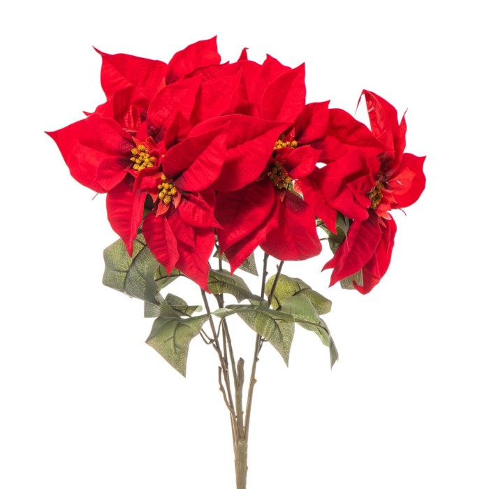 BUSH POINSETTIA LUSSO x 5 CM.52 ROSSO